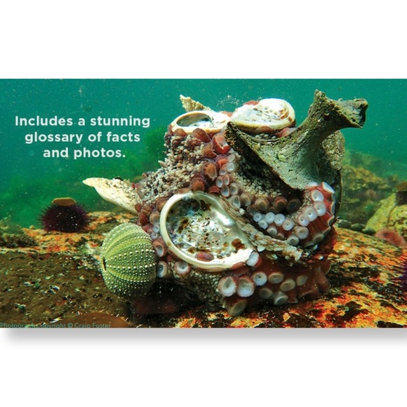 NWT Hardcover Book ‘A Journey Under the Sea’ - Picture 7 of 9